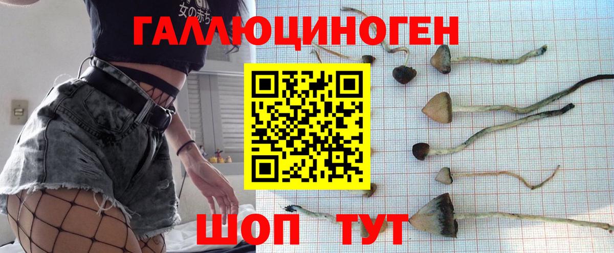 где найти   Псилоцибиновые грибы мухоморы  Галлюциногенные грибы прущие грибы  Вход с VPN  Моздок 