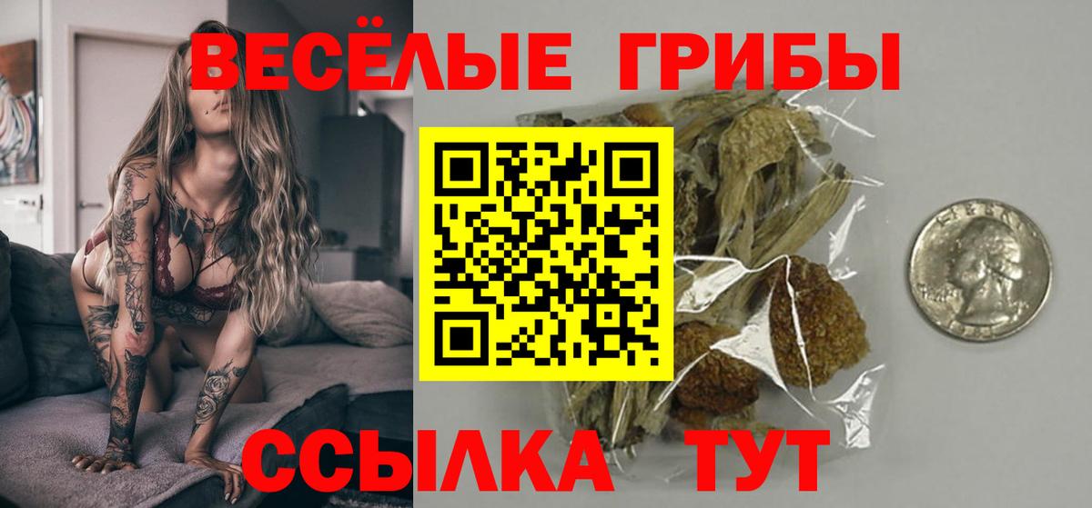 Галлюциногенные грибы Psilocybe Моздок